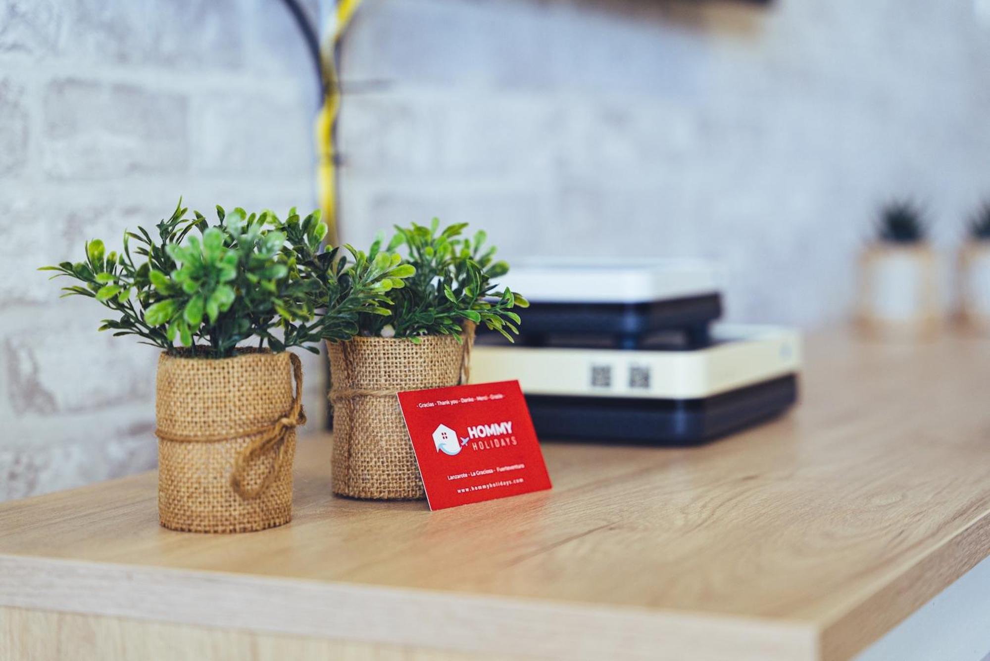 Apto Rebeca By Hh Aa, Wifi & Pool Apartment *
